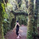 ���������� ��� ������ �� ������ �����, ���� ������� _�����_, 33 ����, ������������ ��� ������, ����� � ���������, c�������� ���������