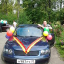  ,   Gv04081985, 39 ,   