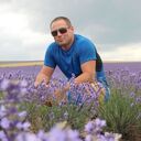 ���������� ����, ���� ������� �������, 40 ���, ������������ ��� ������, ����� � ���������, c�������� ���������