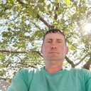 ,   , 43 ,   