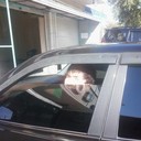 ���������� ������, ���� ������� ������, 33 ����, ������������ ��� ������, ����� � ���������, c�������� ���������