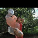 ���������� �������, ���� ������� ����, 22 ����, ������������ ��� ������, ����� � ���������, ���������