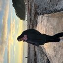 ���������� ������, ���� ������� �������, 62 ����, ������������ ��� ������, ����� � ���������