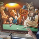 ���������� ���������, ���� ������� ���������, 31 ���, ������������ ��� c�������� ���������