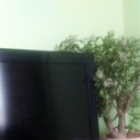 ���������� ��, ���� ������� ����, 43 ����, ������������ ��� ������, ����� � ���������, c�������� ���������