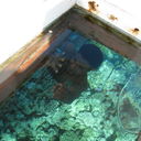  ,   89084206077, 51 ,  