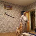  ,   , 46 ,   ,   , c 