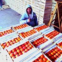 ���������� �������, ���� ������� Davron, 41 ���, ������������ ��� ����� � ���������, c�������� ���������