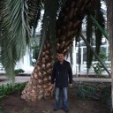  ,   , 63 ,   ,   , c 