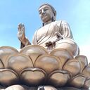 ���������� ���, ���� ������� ������, 61 ���, ������������ ��� ����� � ���������, c�������� ���������