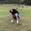  -,   , 33 ,   ,   , c 