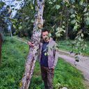 ���������� ������, ���� ������� ��������, 33 ����, ������������ ��� ������, ����� � ���������, c�������� ���������, ���������