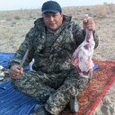 ���������� �������, ���� ������� ������, 49 ���, ������������ ��� ������, ����� � ���������, c�������� ���������