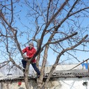 ���������� �����, ���� ������� ���������, 46 ���, ������������ ��� ������, ����� � ���������, c�������� ���������