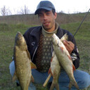 ���������� ����, ���� ������� ��������, 49 ���, ������������ ��� c�������� ���������, ���������