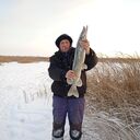 ���������� ������, ���� ������� ������, 46 ���, ������������ ��� ������, ����� � ���������