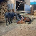 ���������� ������, ���� ����� �������, 24 ����, ������������ ��� ������, ����� � ���������, ���������