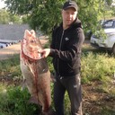 ���������� ���������, ���� ������� ���������, 41 ���, ������������ ��� ������, ����� � ���������, c�������� ���������