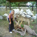  ,   , 37 ,     , c 