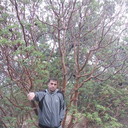  ,   Alik, 50 ,   ,   , c 