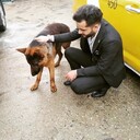 ���������� ������, ���� ������� ����, 29 ���, ������������ ��� ������, ����� � ���������, c�������� ���������