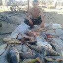 ���������� ���������, ���� ������� �������, 37 ���, ������������ ��� ������, ����� � ���������, c�������� ���������