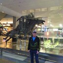 ���������� ������, ���� ������� ���������, 44 ����, ������������ ��� ������, ����� � ���������