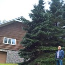 ���������� �����, ���� ������� ���������, 44 ����, ������������ ��� ������, ����� � ���������, c�������� ���������