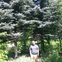  ,   Alex, 64 ,     , c 