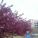 ���������� ����������, ���� ������� �����, 31 ���, ������������ ��� ������, ����� � ���������