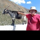  ,   , 59 ,   ,   , c , 