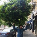 ���������� ���������, ���� ������� ����, 42 ����, ������������ ��� ������, ����� � ���������, c�������� ���������