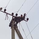 ���������� ��������, ���� ������� �����, 52 ����, ������������ ��� c�������� ���������