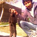  ,   , 34 ,     , c , 