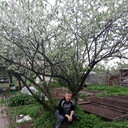  ,   , 67 ,   ,   , c 