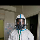  ,   Ananas, 33 ,   ,   , c 