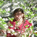 ���������� ������, ���� ������� Tambov115, 44 ����, ������������ ��� ����� � ���������, c�������� ���������