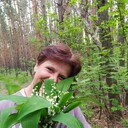  ,   , 51 ,   ,   