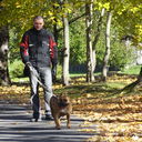 ���������� ����, ���� ������� Guevara, 45 ���, ������������ 