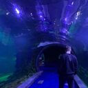 ���������� ������, ���� ������� ������, 28 ���, ������������ ��� ����� � ���������, c�������� ���������, ���������