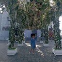  ,   , 51 ,   ,   