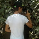 ���������� �������, ���� ������� 909181099, 33 ����, ������������ ��� ������, ����� � ���������, c�������� ���������