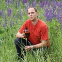 ���������� ������, ���� ������� ���������, 41 ���, ������������ ��� ������, ����� � ���������, c�������� ���������