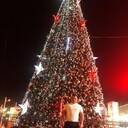 ���������� ���������, ���� ������� ������, 40 ���, ������������ ��� ������, ����� � ���������