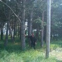  ,   Grigor, 40 ,   ,   , c 