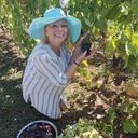 ���������� �����������, ���� ������� �������, 60 ���, ������������ ��� c�������� ���������