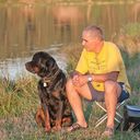  ,   Tiger, 62 ,     , c 