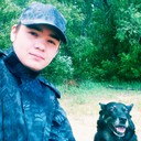 ���������� ������, ���� ������� �����, 29 ���, ������������ ��� ����� � ���������, c�������� ���������