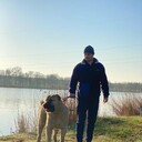 ���������� ������, ���� ������� ������, 43 ����, ������������ ��� ������, ����� � ���������