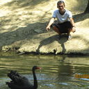 ���������� ���������� �����, ���� ������� �������, 44 ����, ������������ ��� ������, ����� � ���������, c�������� ���������